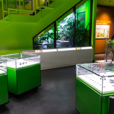 Montreal insectarium interior.