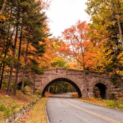 Beautiful fall colors of Acadia National Park in Maine