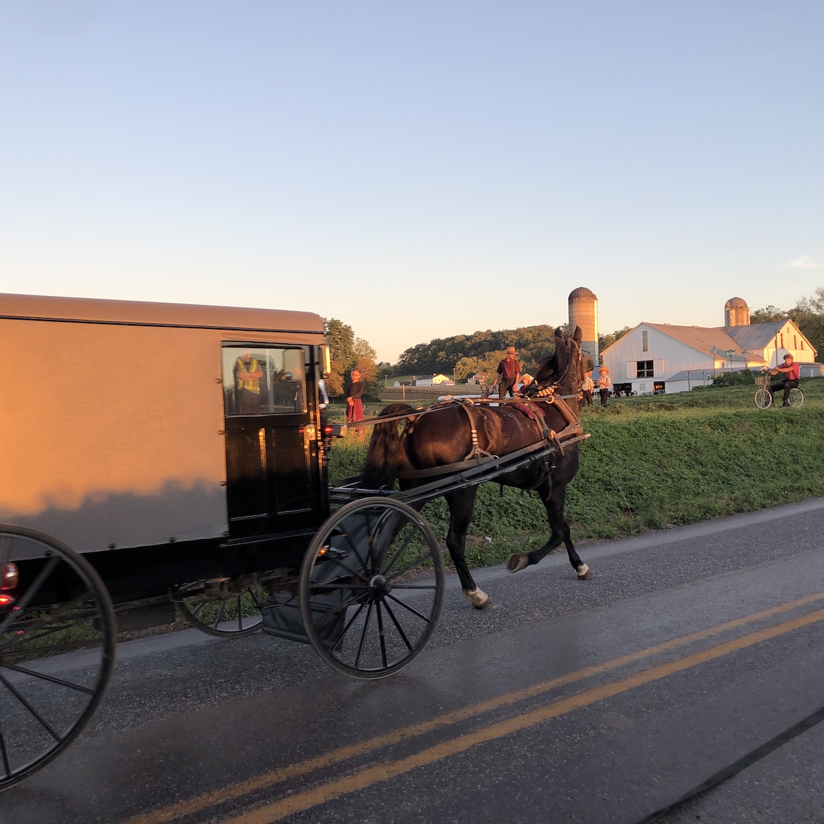 7 Best Amish Experiences In Lancaster, Pennsylvania TravelAwaits