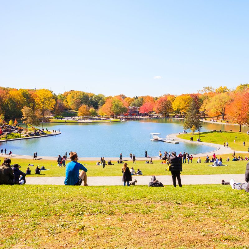 Family and friends gather in a park on Thanksgiving weekend in Montreal, Quebec, Canada.