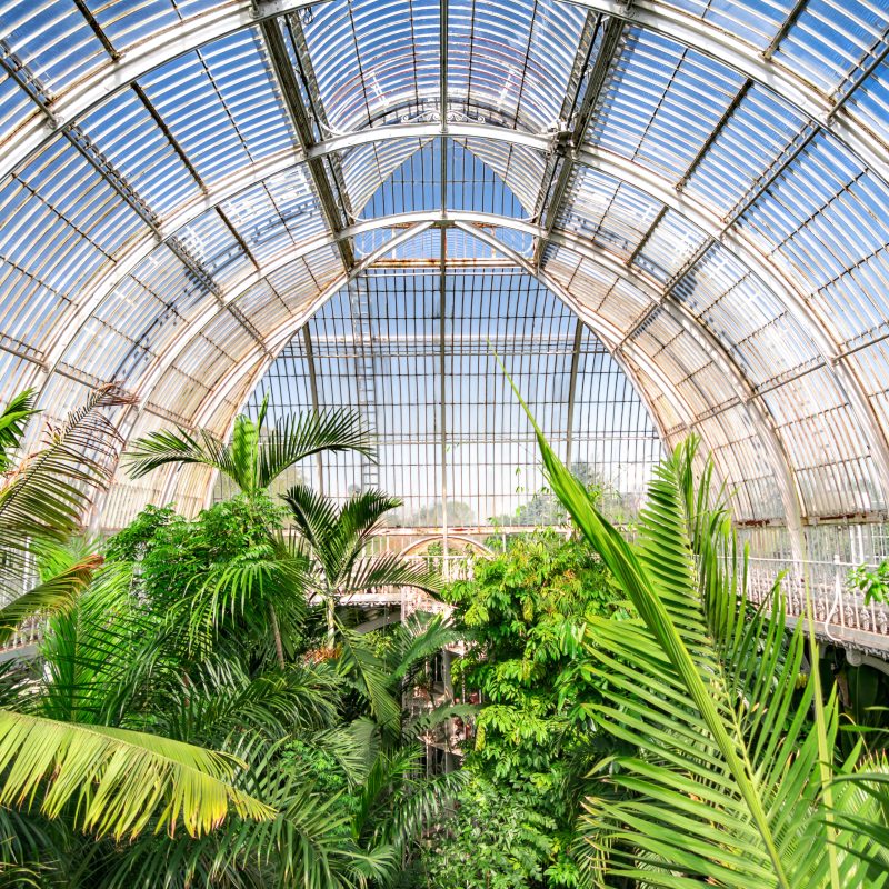 Londons Kew Gardens The Surprising Truth About Plants And Global Warming - kvrg6gj
