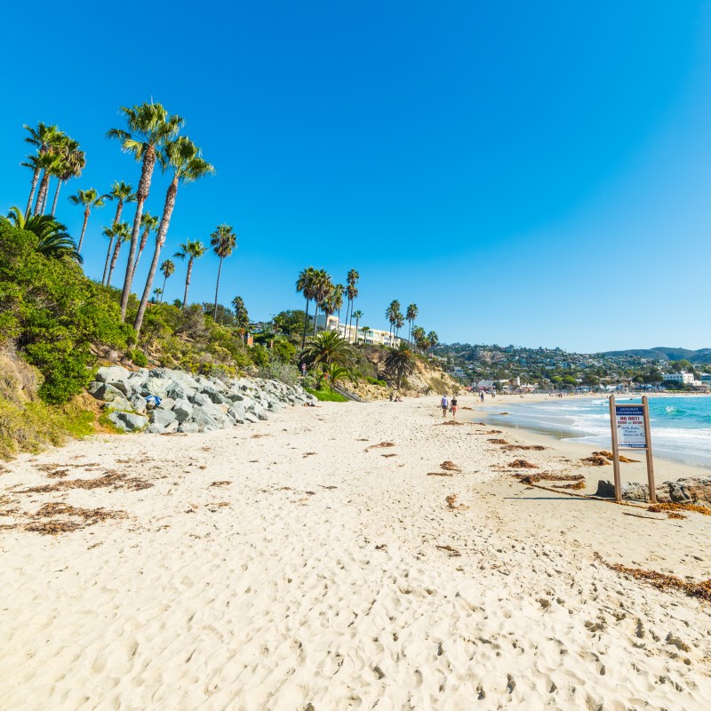 The Laguna Beach oceanfront. California.