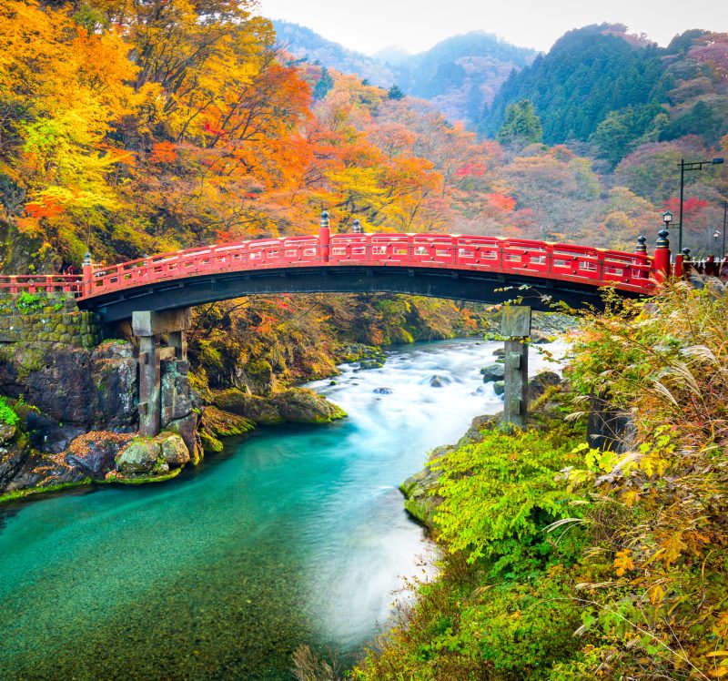 5 Best Day Trips Outside Of Tokyo, Japan TravelAwaits