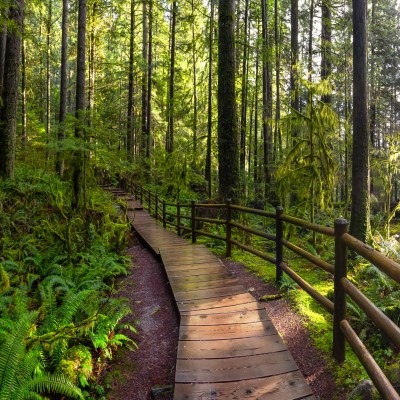 The 5 Best Parks To Experience In Vancouver, BC | TravelAwaits