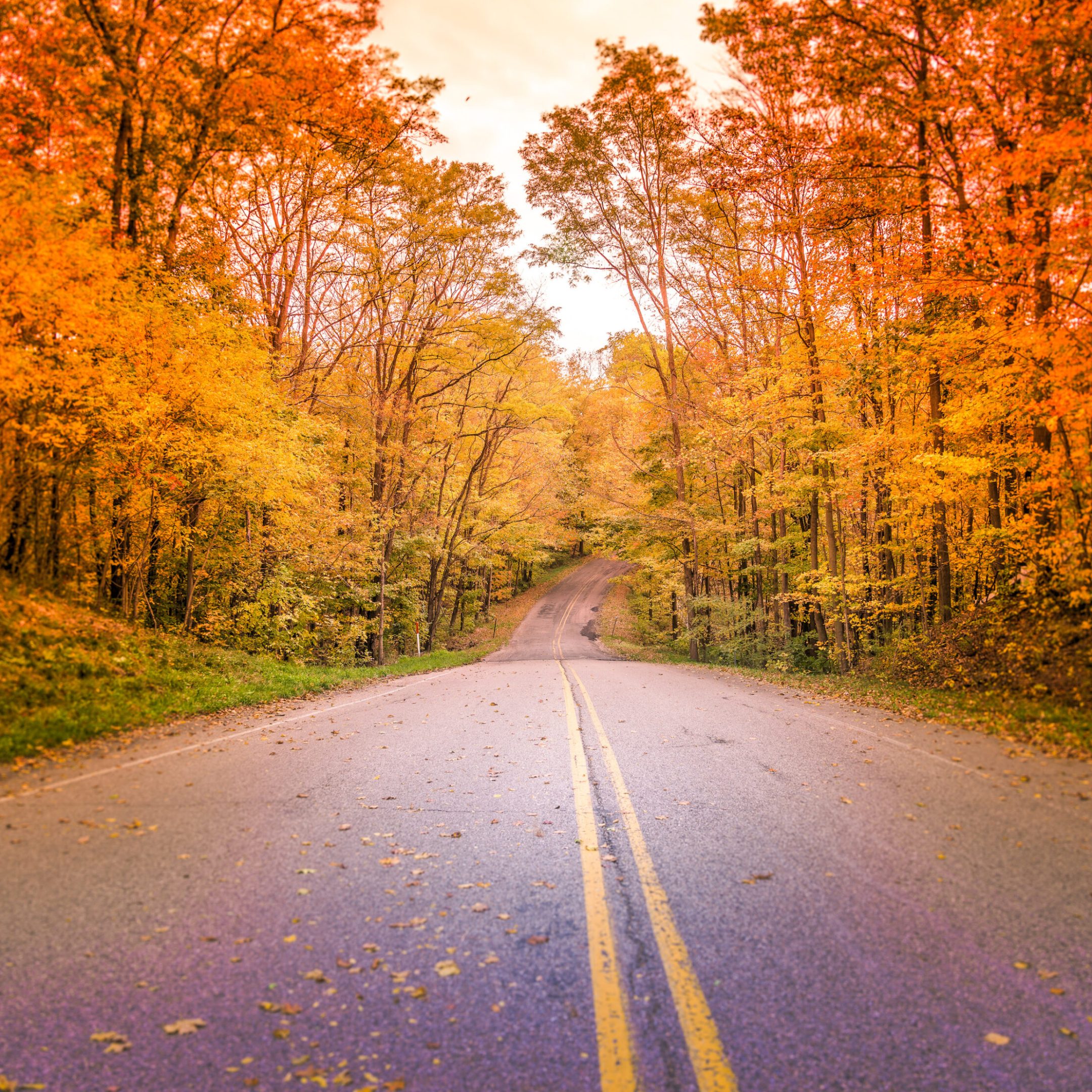 Scenic Road Trips For The Fall | TravelAwaits