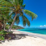 A beach in Puerto Rico.