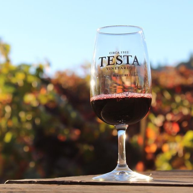 A glass of wine at the Testa Ranch and vineyards.