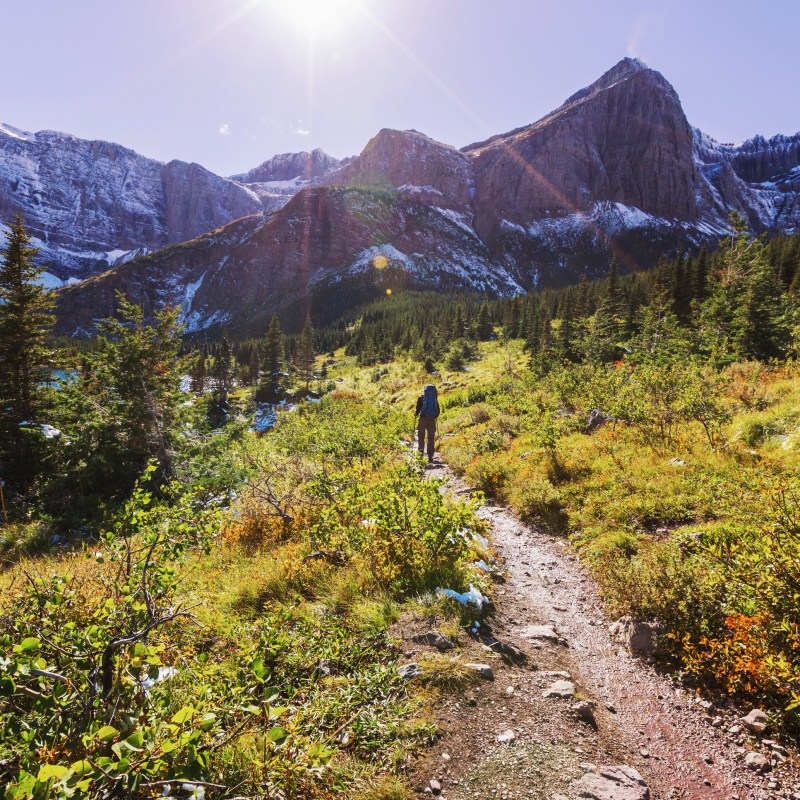 A hiking trail through Glacier National Park.