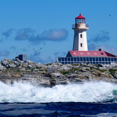 A lighthouse on Machias Seal Island.
