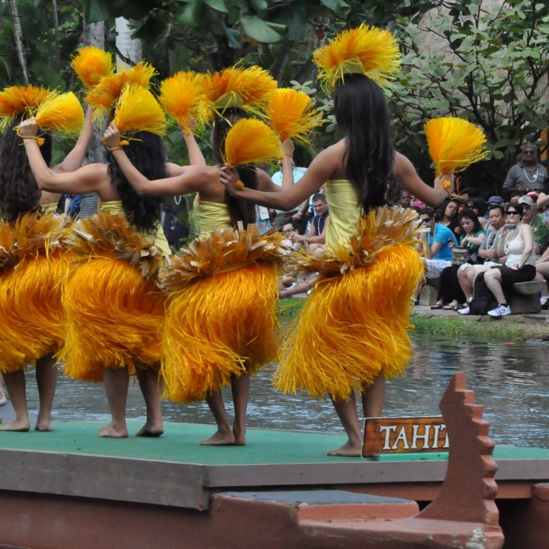 Hawaiian Luau Brown Natural Grass Hula Skirt Dress