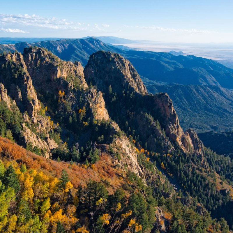 A panoramic view of Cibola National Forest.
