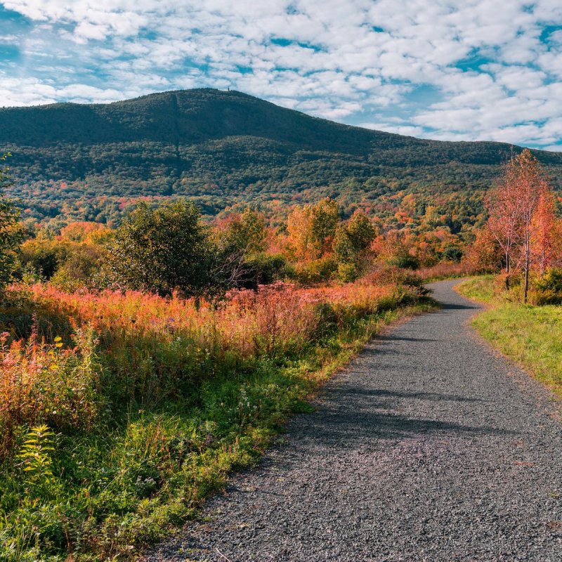 A path leading towards Mount Greylock in Massachusetts.