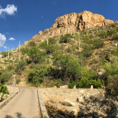 A paved trail through Sabino Canyon in Arizona.