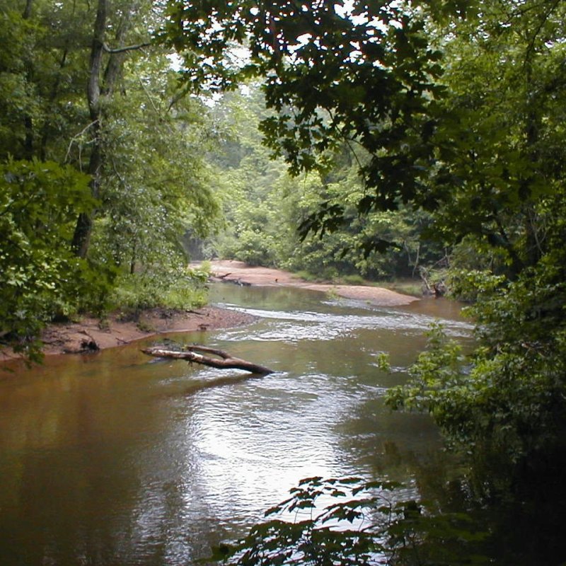 A portion of Alabama's Scenic River Trail.