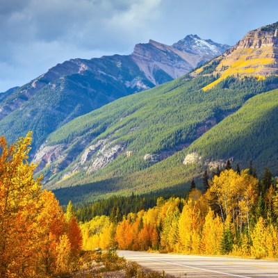 A road through Banff National Park.