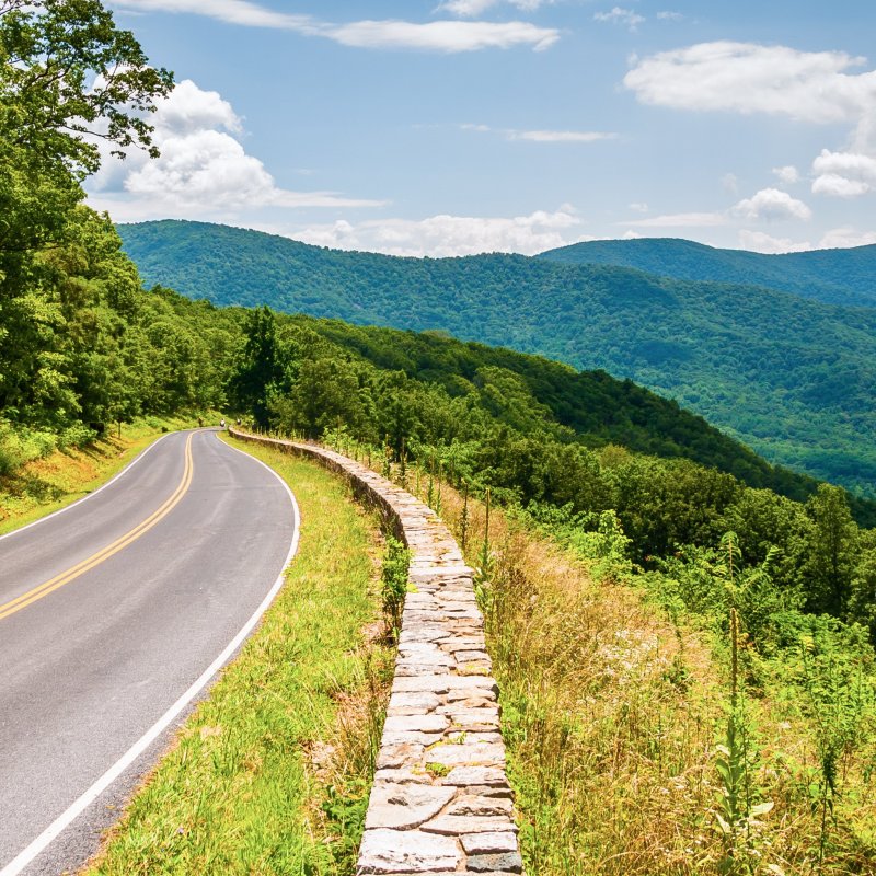 A road through Shenandoah National Park in Virginia.