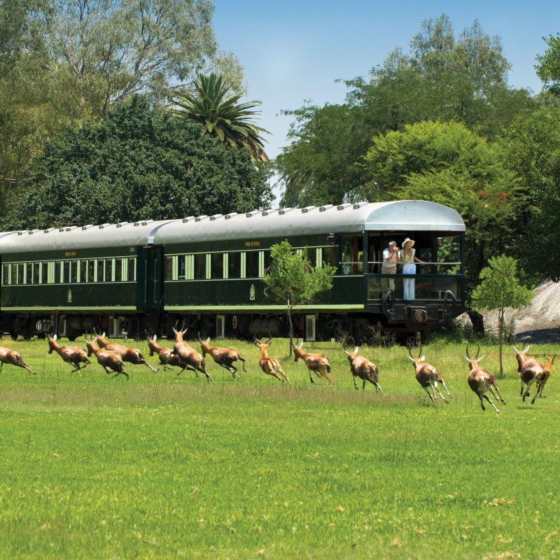 A Rovos Rail trip through South Africa