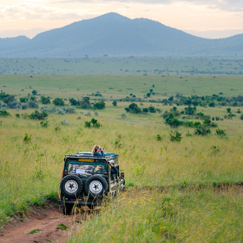 A safari at Serengeti National Park in Africa.