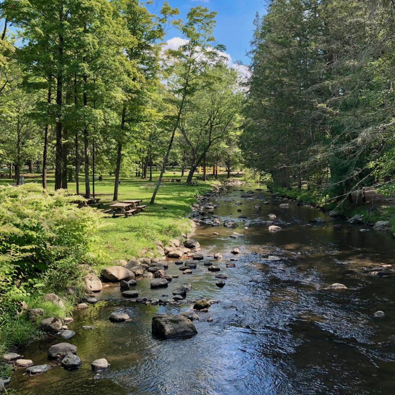 A stream and picnic area in Saratoga Spa State Park.