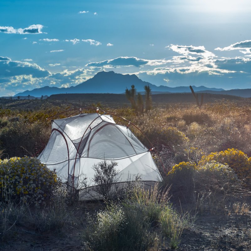 A tent set up in the backcountry of Nevada.