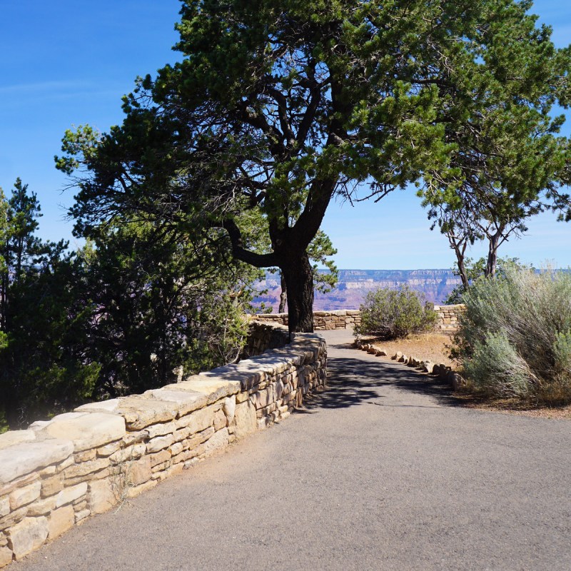 A trail at Grand Canyon National Park.