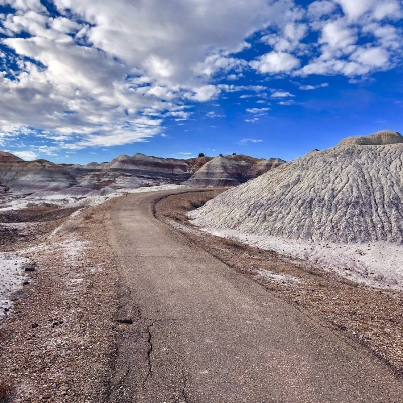 A trail in Petrified Forest.