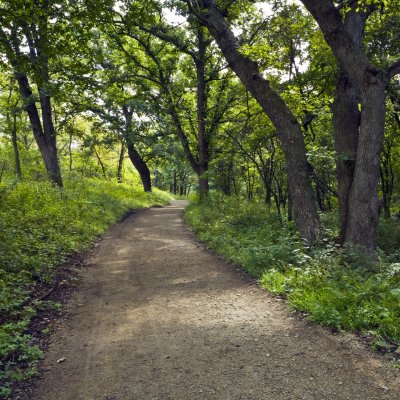 A trail through the Konza Prairie Preserve in the Flint Hills of Kansas.