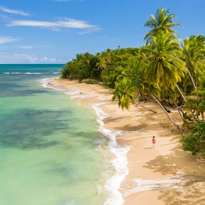 A tropical beach in Costa Rica.