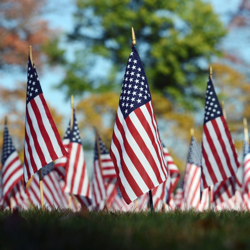 American flags on display for Veterans Day.