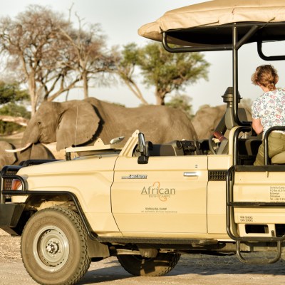 An African safari via African Bush Camps.