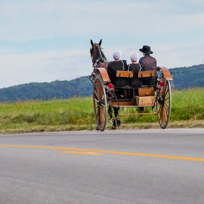 An Amish family riding in a horse-drawn buggy.