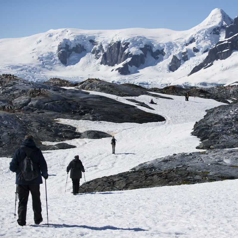 An excursion on a cruise to Antarctica.