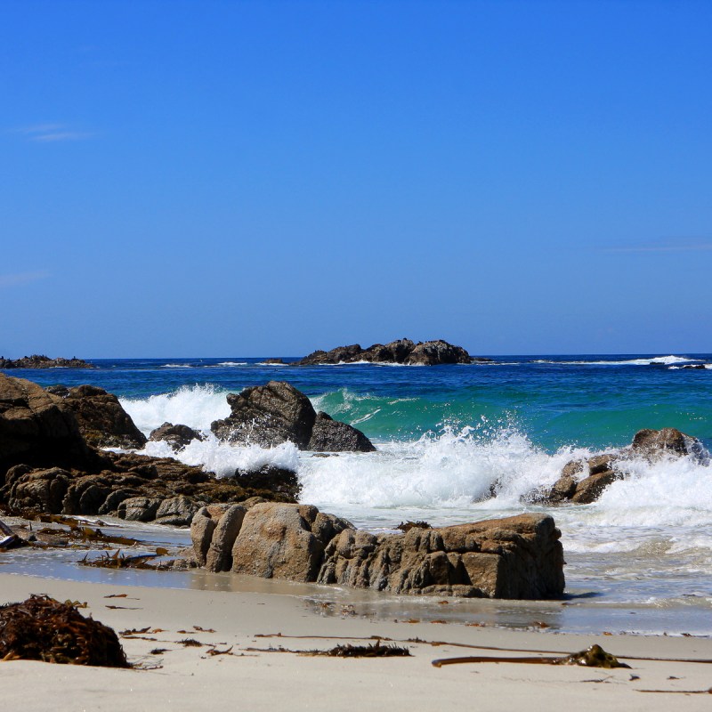 Beach views in Pacific Grove, California.