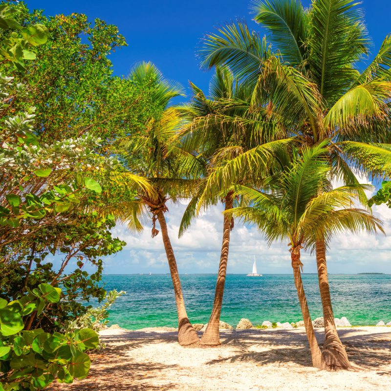 Beach views in the Florida Keys.