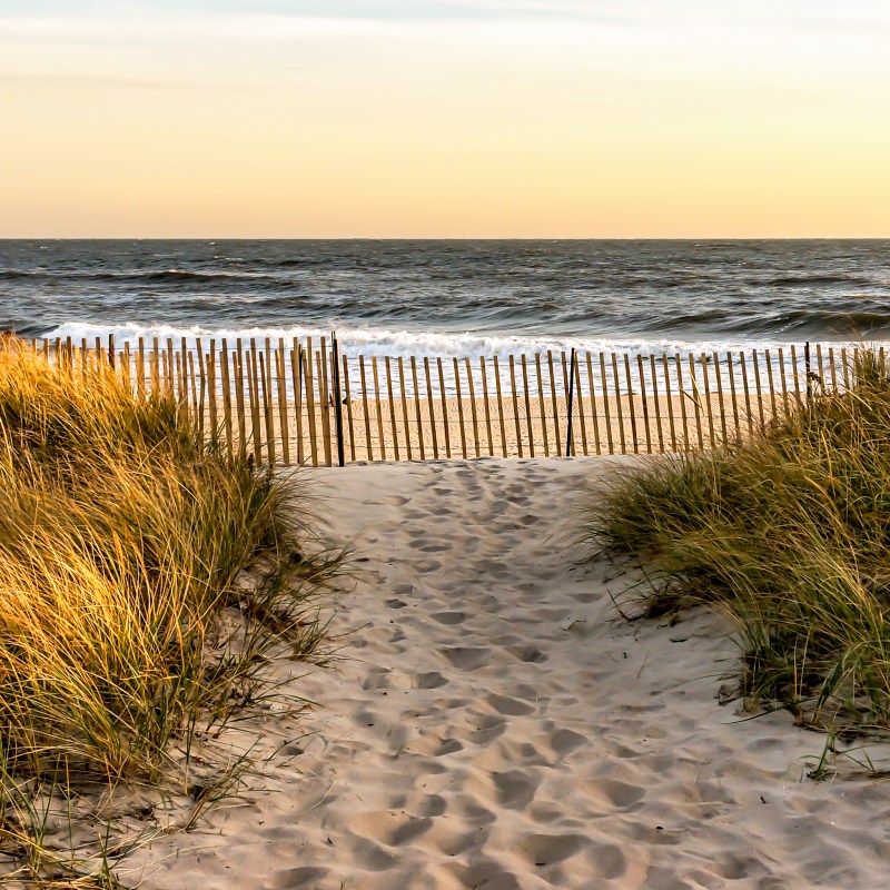 Beach views in the Hamptons.