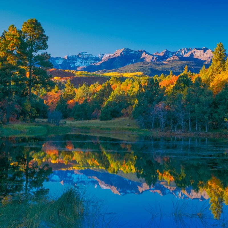 Beautiful fall foliage in secluded Ridgway, Colorado.