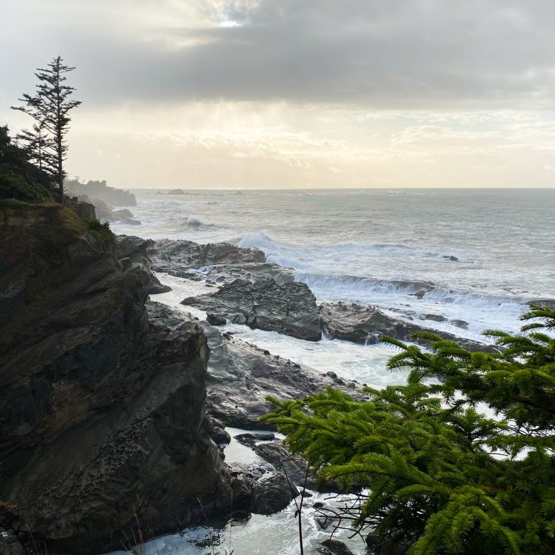 Beautiful views of the Oregon coast.