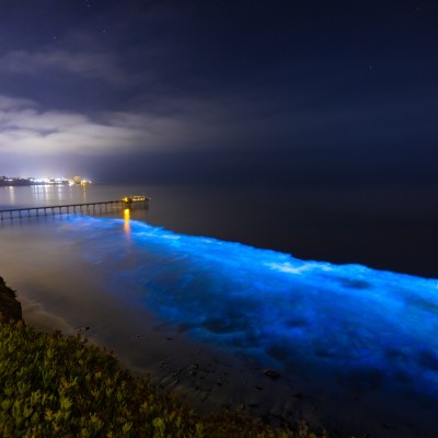 Bioluminescent ocean waters.