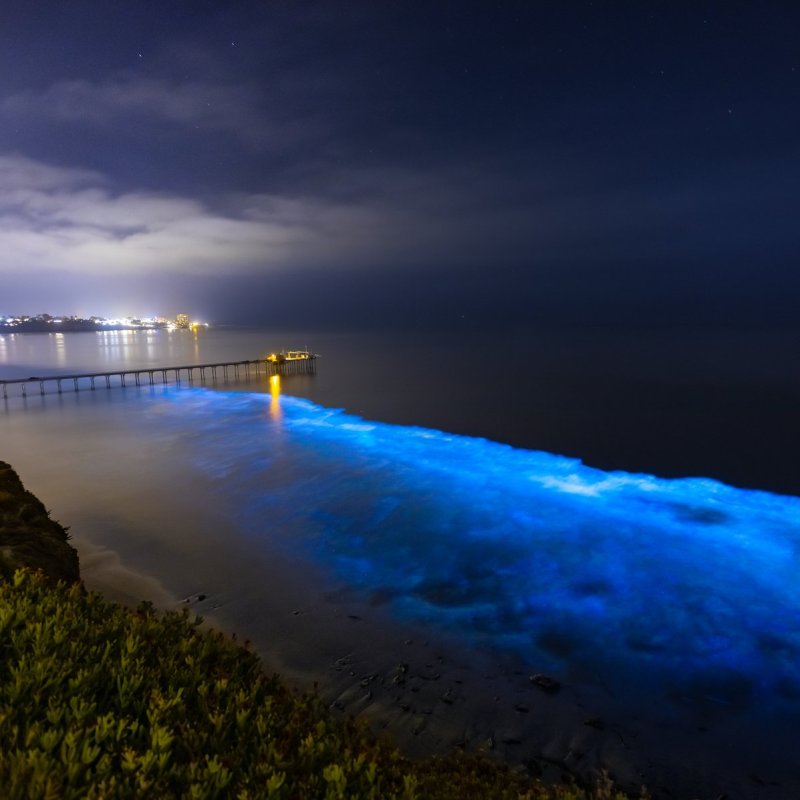 Bioluminescent water in San Diego, California.