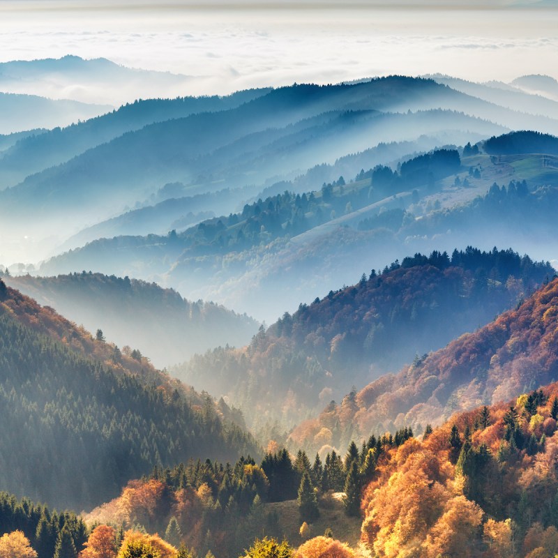 Black Forest region in Germany.