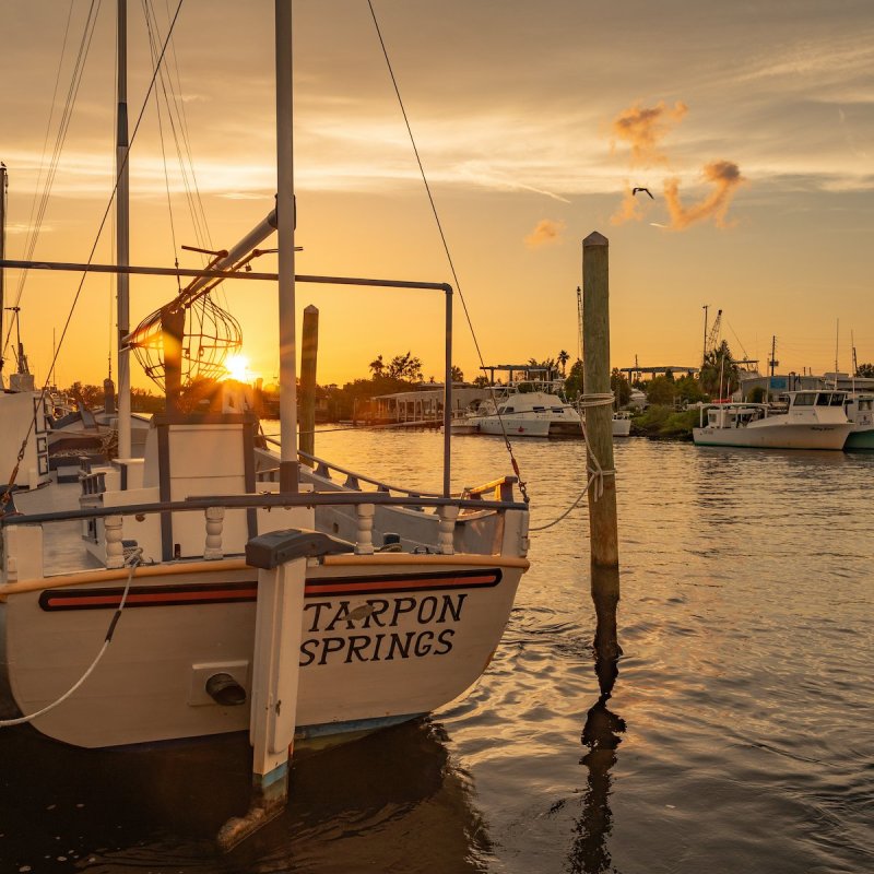 Boats docked at sunset.