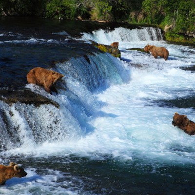 Brooks Falls, Katmai National Park, Alaska.