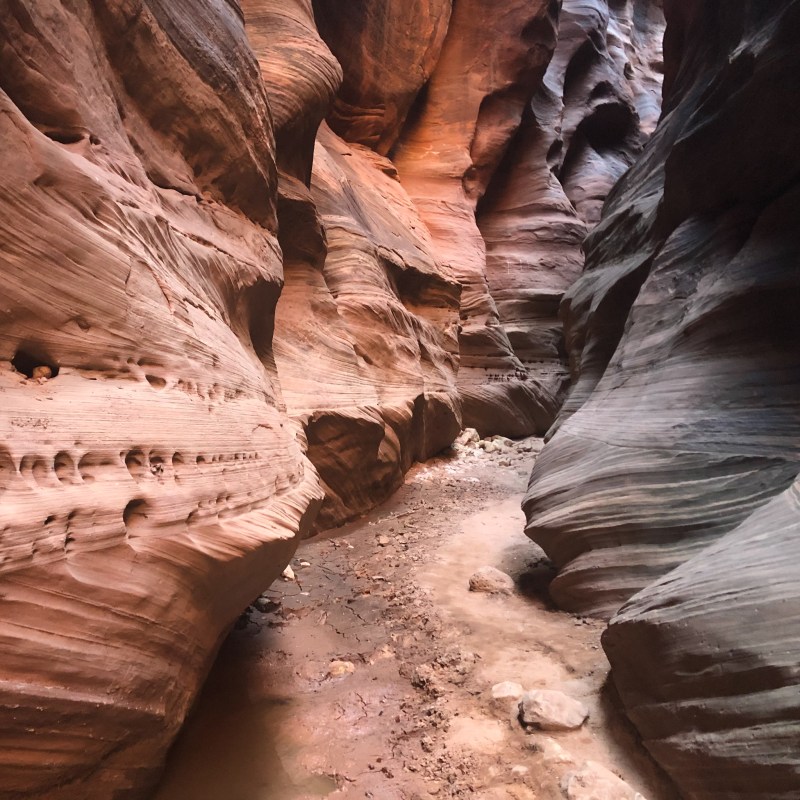 Buckskin Gulch near Kanab, Utah.