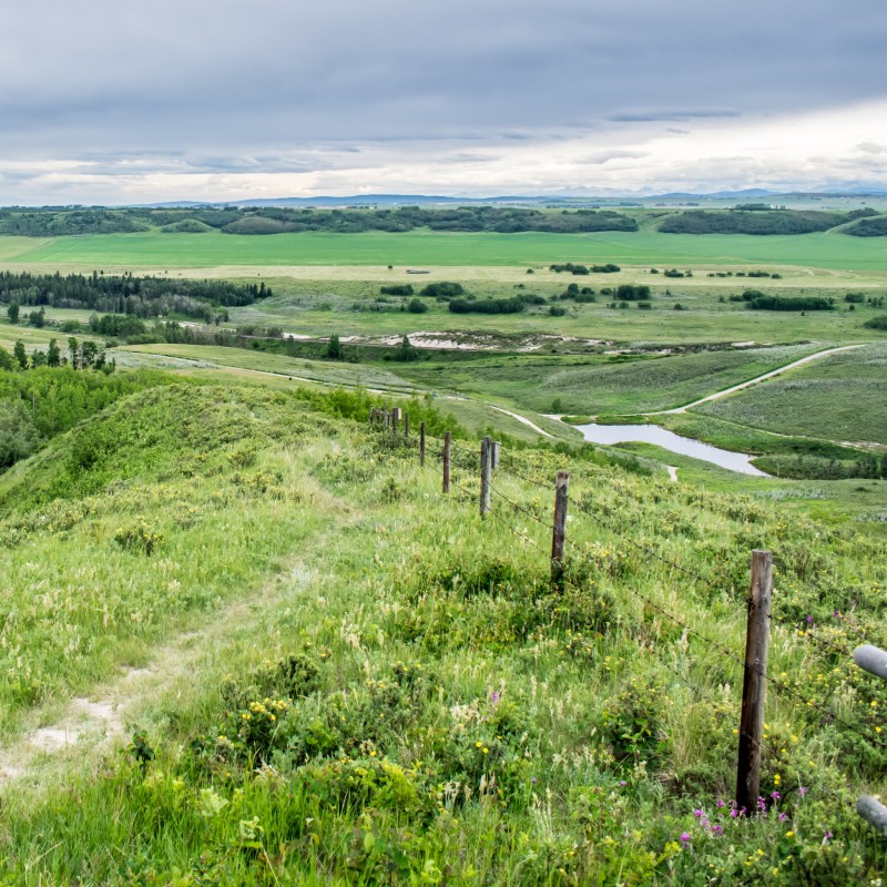 Canadian ranch views in Cochrane, Alberta.