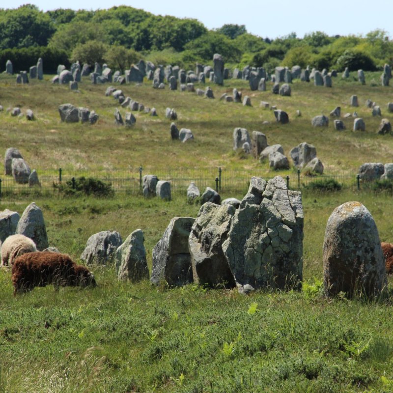 Carnac stones near Carnac, France.