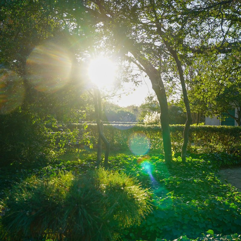 Chandor Gardens in Weatherford, Texas.