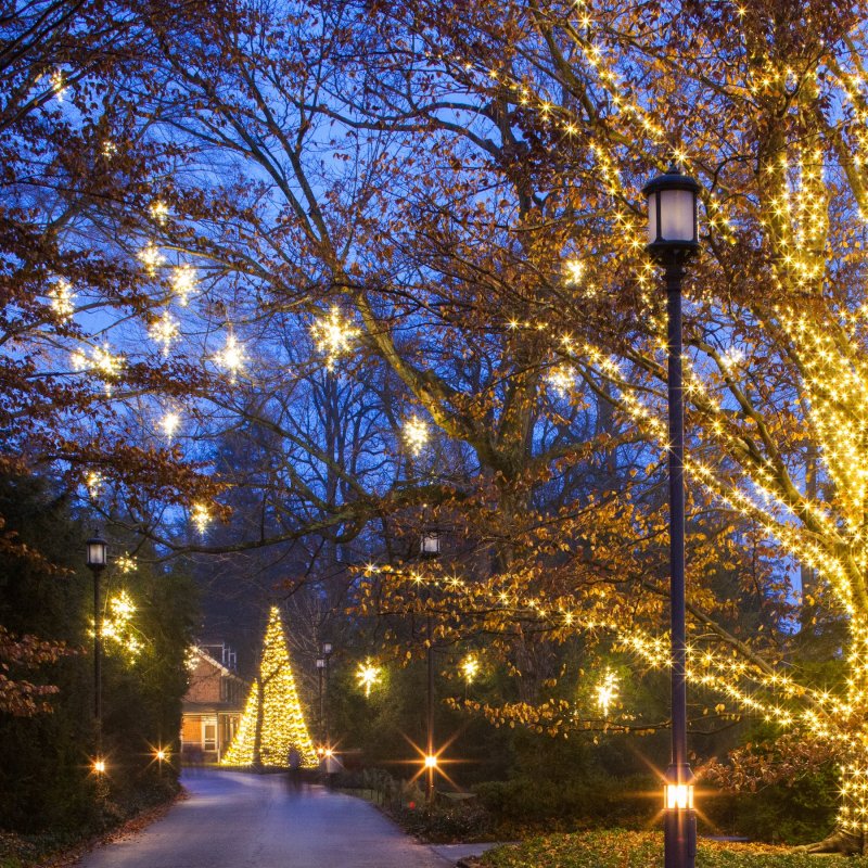 Christmas lights at Longwood Gardens in Pennsylvania.