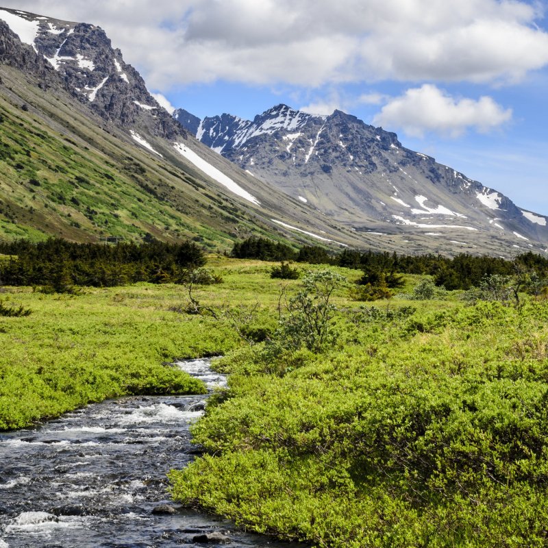 Chugach State Park near Anchorage, Alaska.