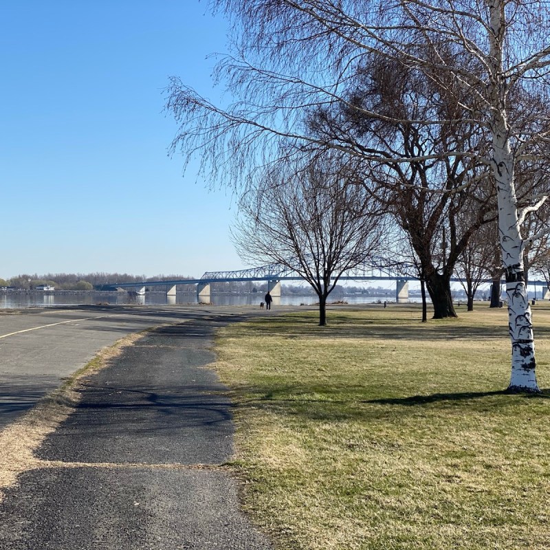 Columbia River from Columbia Park, Kennewick.