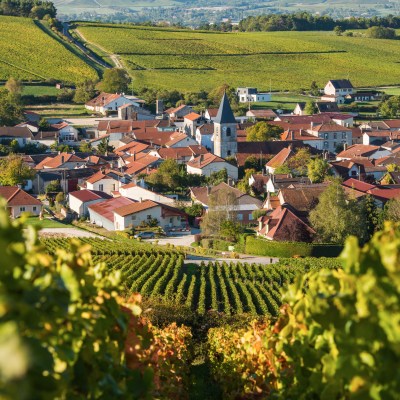 Cote des Bar, on the border of the Champagne wine region near Bordeaux.